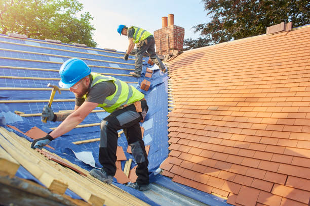 Best Roof Insulation Installation  in Forrest, IL